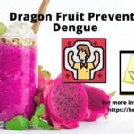 Dragon fruit prevents dengue. Dragon Fruit Good for Dengue